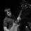 the-black-hollies_ 2